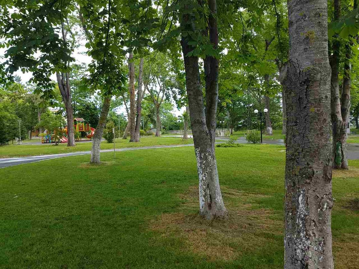 Villa Salena 普里莫尔斯科 外观 照片